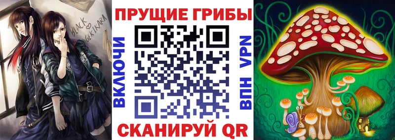 Купить  Тейково  Псилоцибиновые грибы Psilocybe 